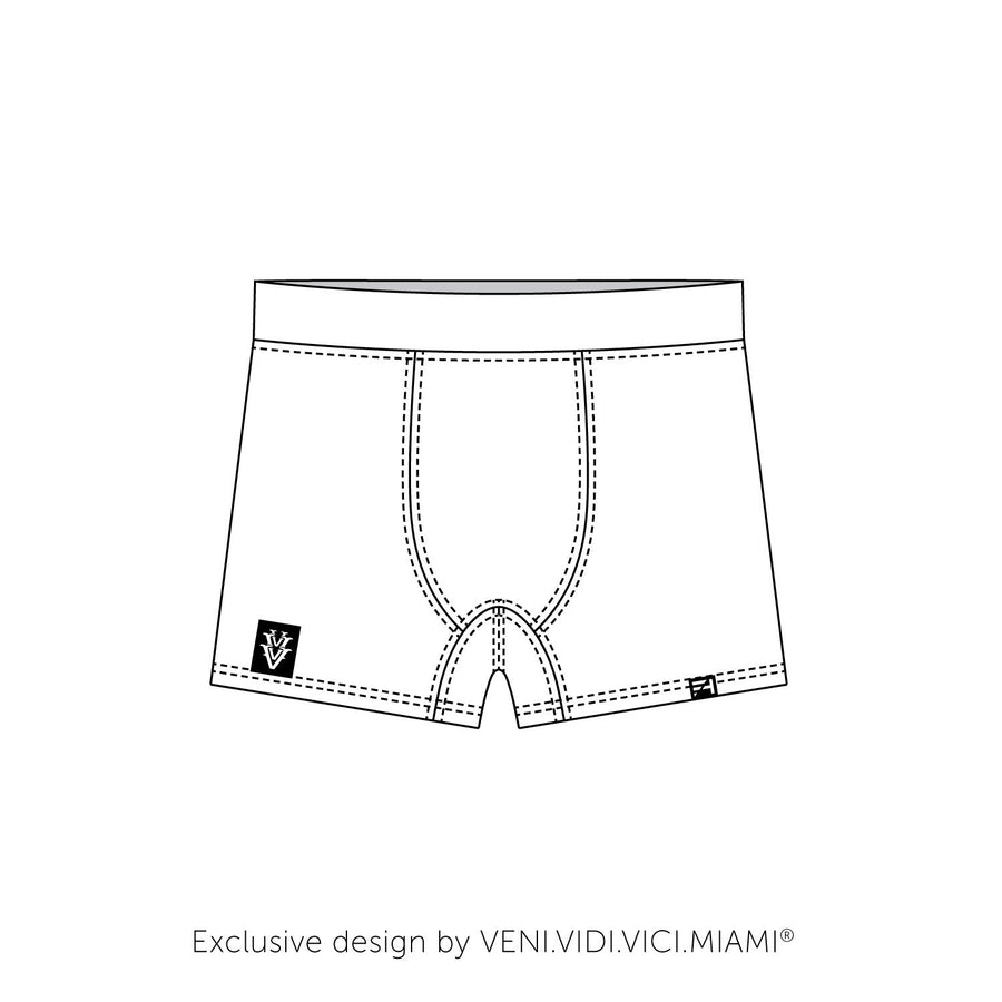 Zara MAN underwear (thigh briefs)